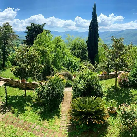 Felici *